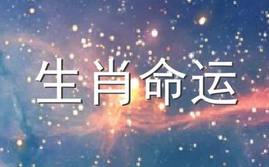 1995年是什么属相