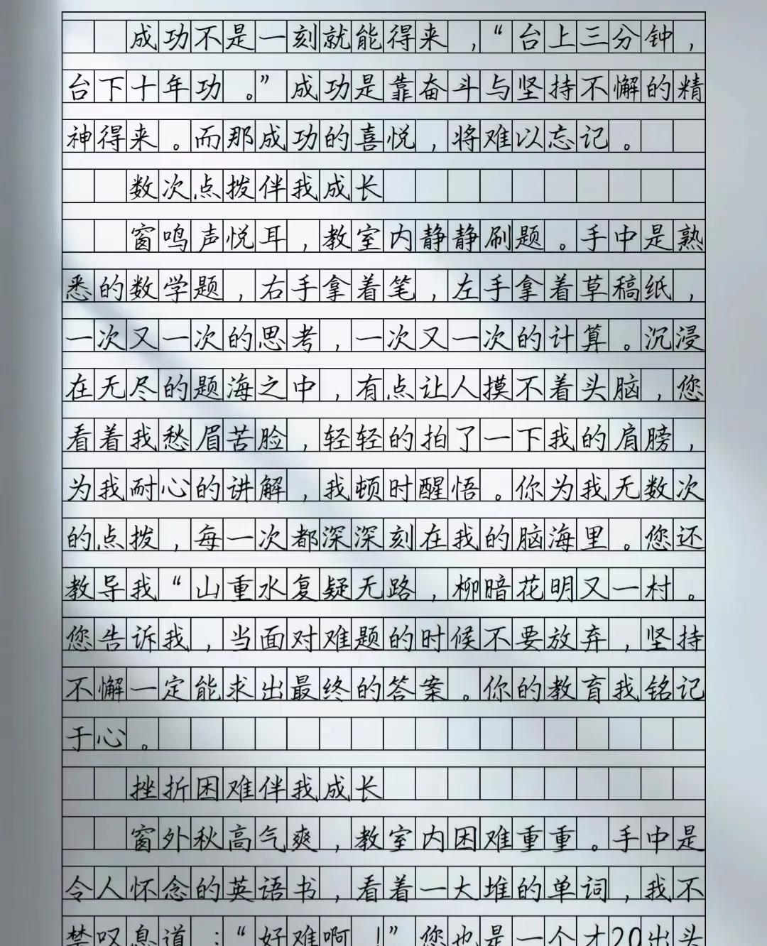 我的读书计划怎么写300字作文