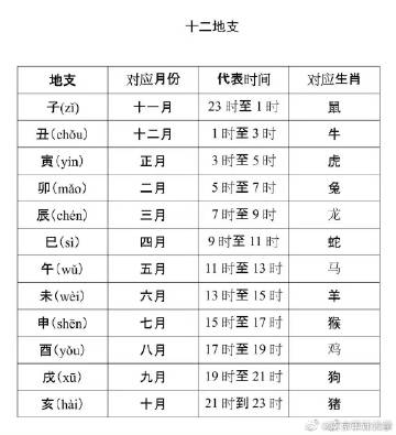 申己是什么生肖