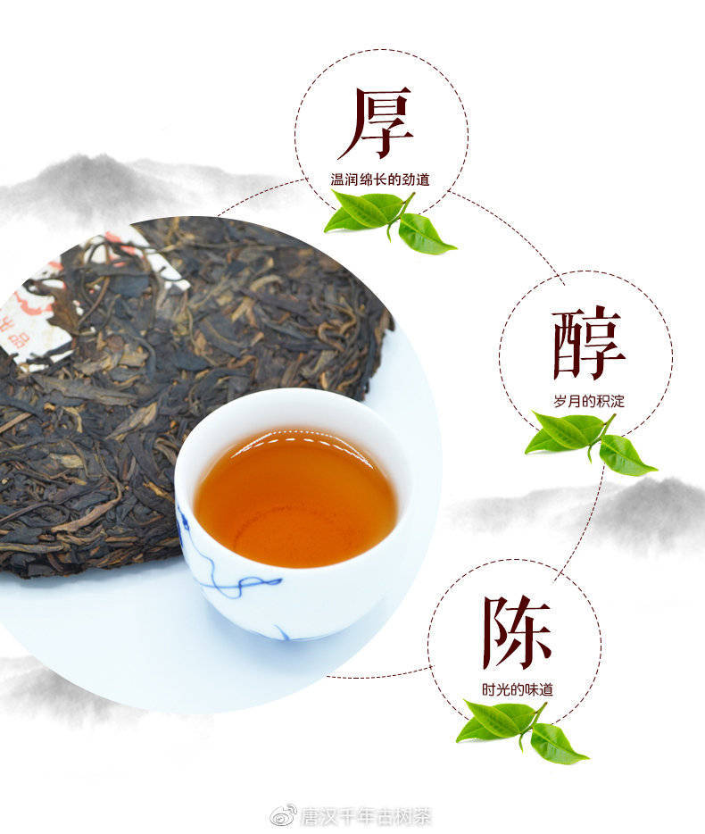 什么是普洱茶