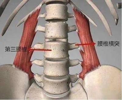 后肋骨疼是怎么回事