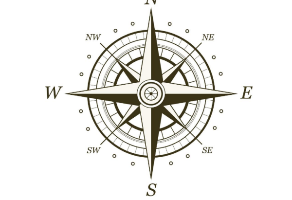 天然指南针向日葵是怎么辨别方向的