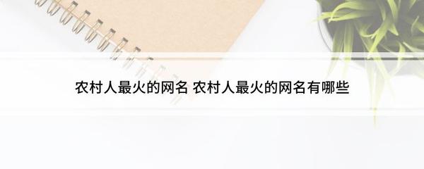 农村人网名