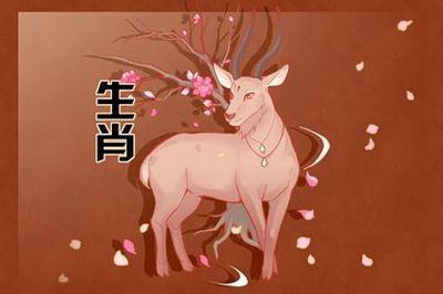 属羊的吉利楼层