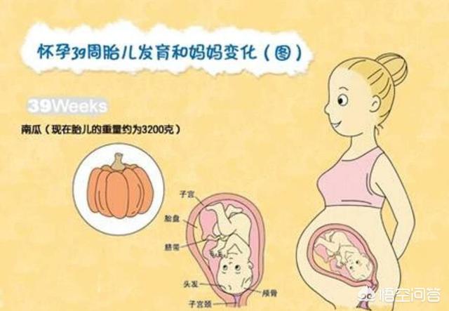 怎么知道胎儿是否入盆
