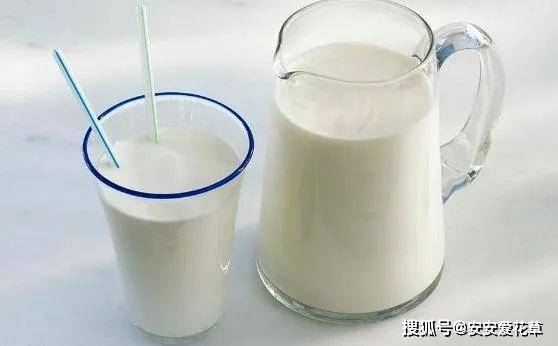 没有乳糖的奶粉