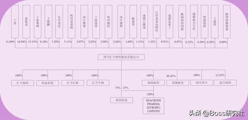 股权结构怎么写