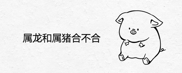 属猪的跟属龙的相配吗
