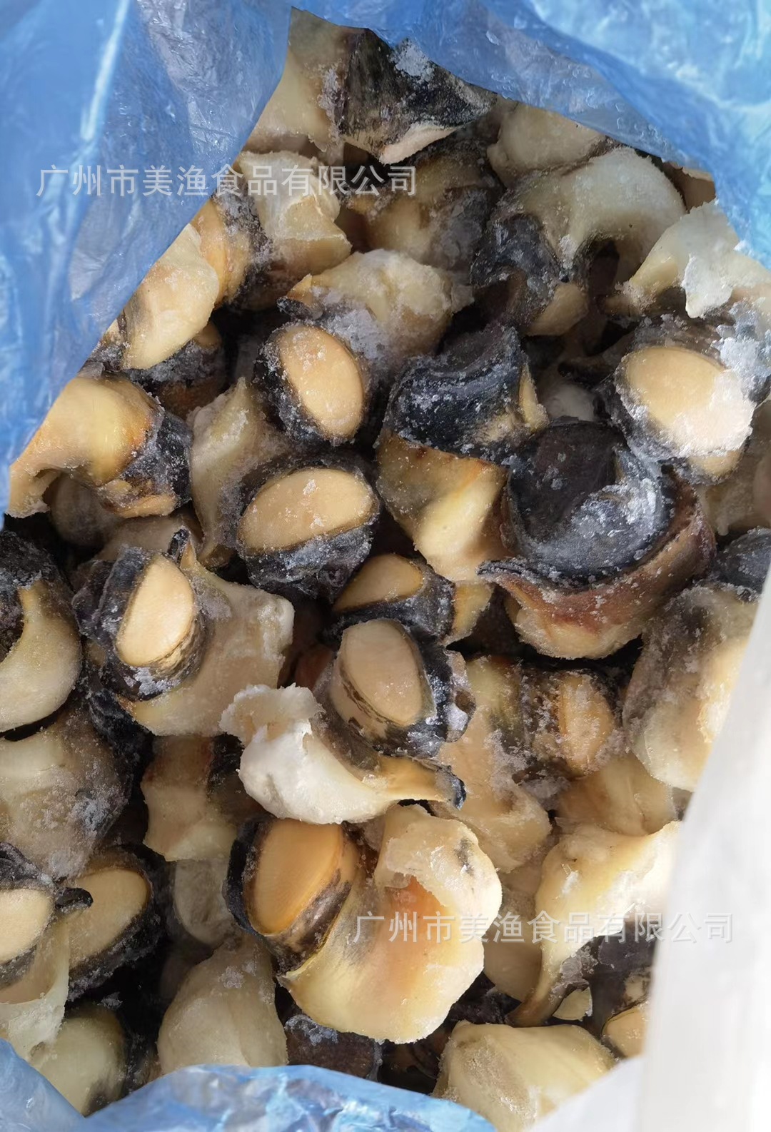 干海螺头做法大全家常做法