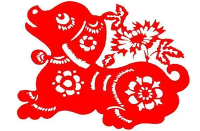 五十一岁属什么生肖