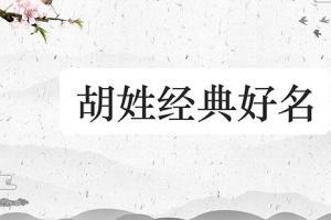 女孩姓胡什么名字好听