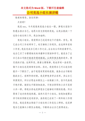 竞选小组长发言稿400