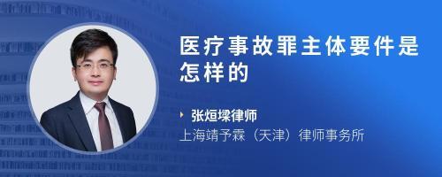 医疗事故罪的主体