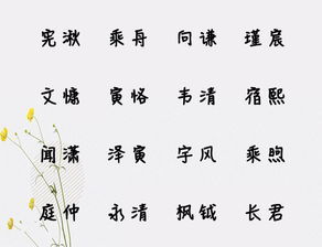 潇字五行属什么