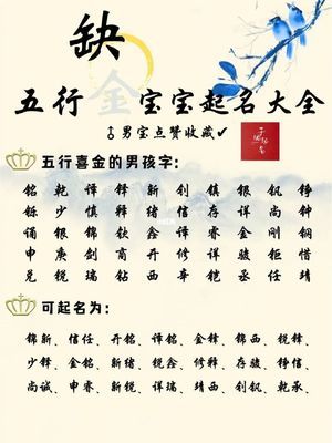 男孩五行属金的字