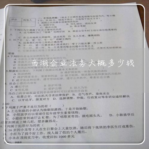 公司法务一个月多少钱