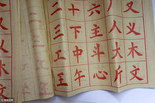 王   起名