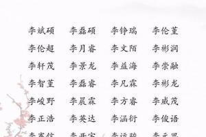 取名字四个字