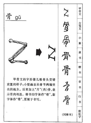 儿字属于五行属什么