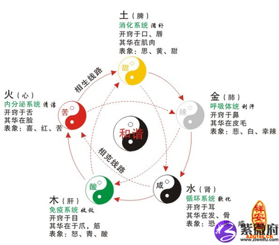 甜的五行属性