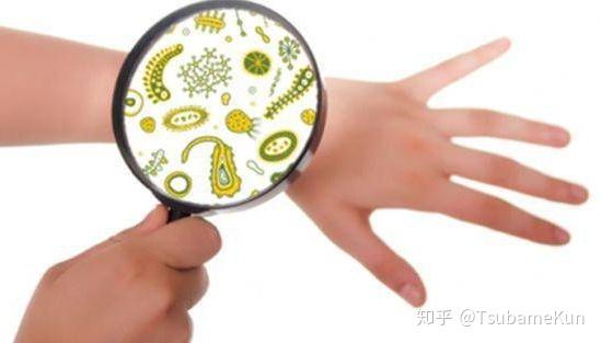 粉刺是什么菌引起的吗
