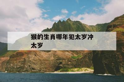 属猴哪年犯太岁