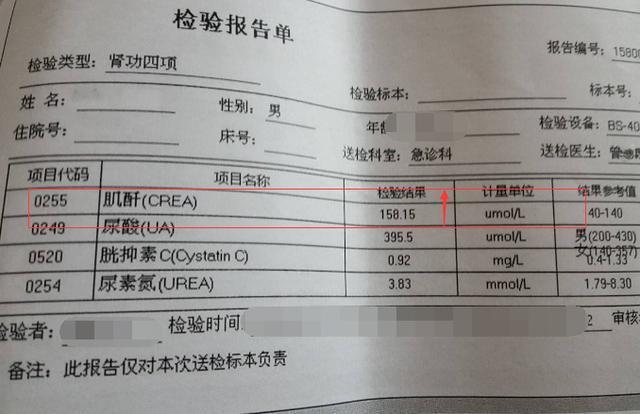 肾功正常值是多少