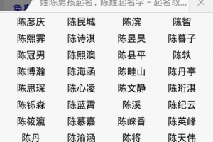 姓陈男宝宝名字大全