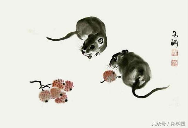 猪和鼠相配婚姻如何