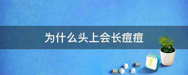 为啥头上会长痘痘