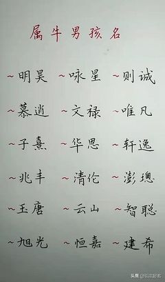 简单的男孩名字笔画少