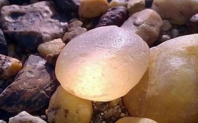 周公解梦梦见捡石头