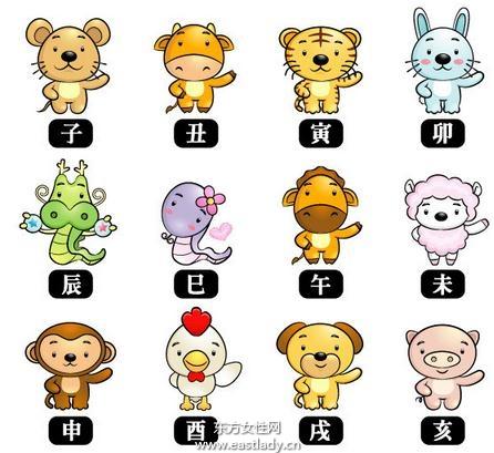 一周生肖运势