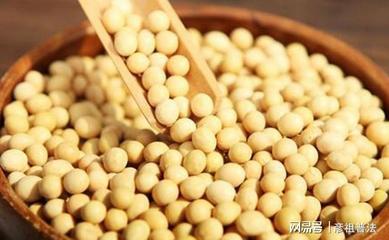 黄豆肥制作方法