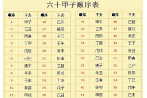 紫微斗数准还是八字准