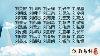 刘姓男宝宝起名