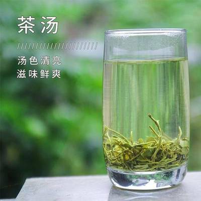 日照绿茶的功效与作用