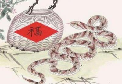 金蛇命五行缺什么