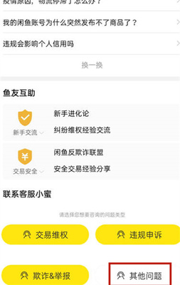 闲鱼怎么用信用卡支付