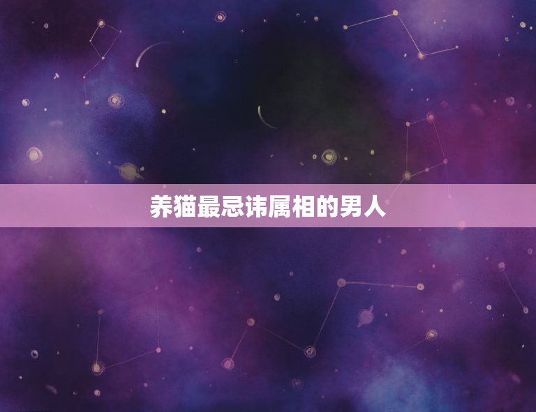 属狗的人适合养猫吗