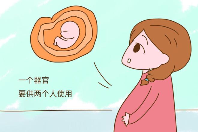 怀孕做什么检查最准确