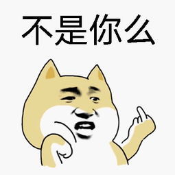 缺金木火的女孩名字