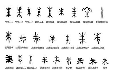 保字五行