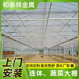 三连栋塑料温室