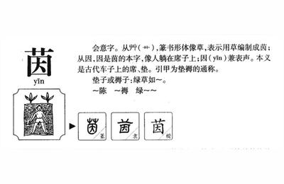 茵的寓意