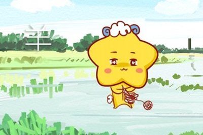1991年属羊男的婚姻