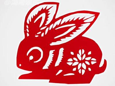 春指什么生肖