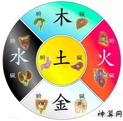 枫属于五行属什么
