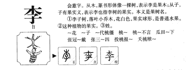 李字在五行中属什么