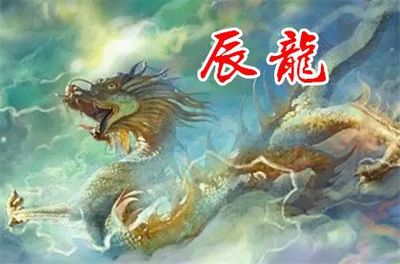 属龙的人今日运势
